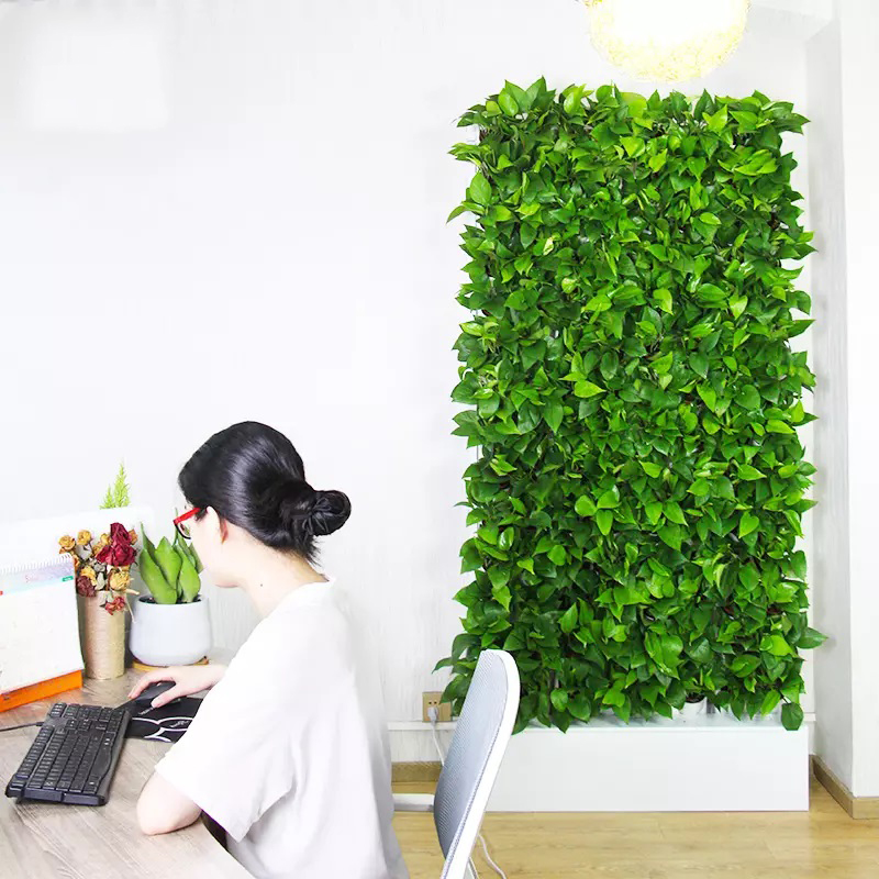 Hydroponic Kit - 水耕栽培室内キット 2平方メートル 壁掛け式水耕栽培システム ポンプ スマートコントローラー 自動灌漑