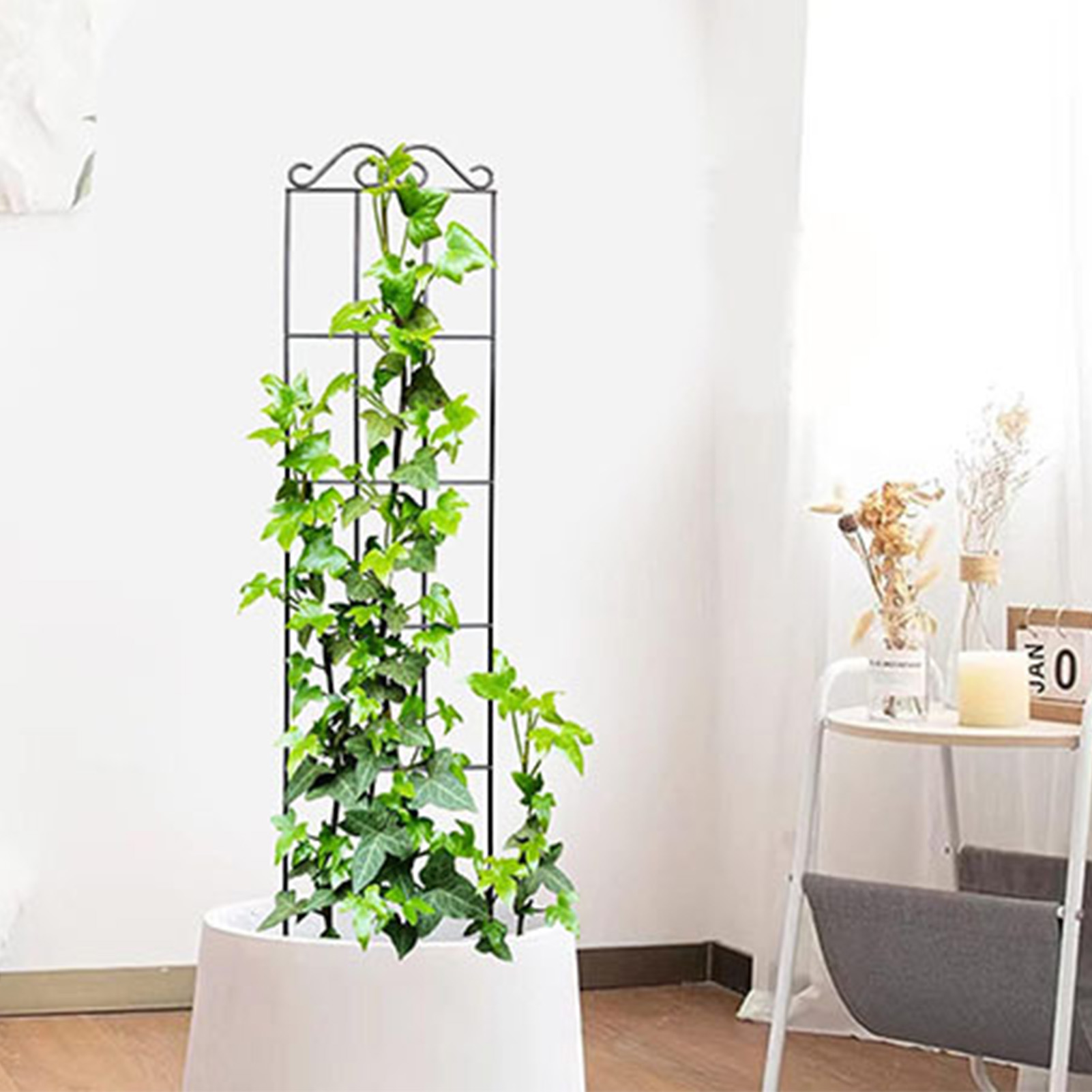 耐久性のあるガーデントレリス、クライミングプラントステムサポ - Indoor Herb Garden のレビューと価格