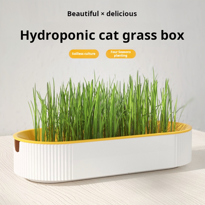 簡単栽培水耕栽培キャットグラスボックスディッシュ栽培ポット猫 - Hydroponic Kit のレビューと価格
