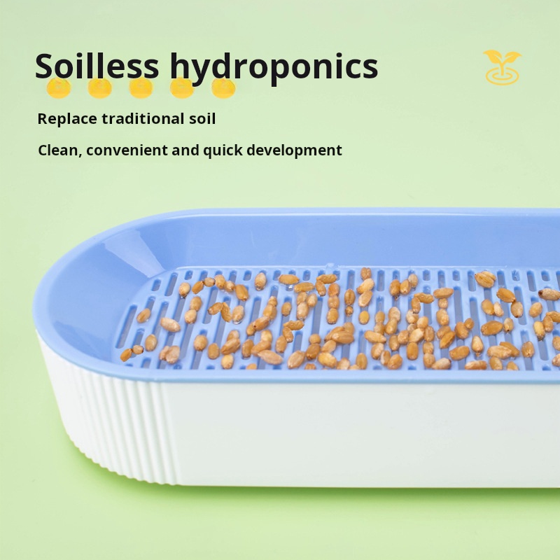 簡単栽培水耕栽培キャットグラスボックスディッシュ栽培ポット猫 - Hydroponic Kit のレビューと価格