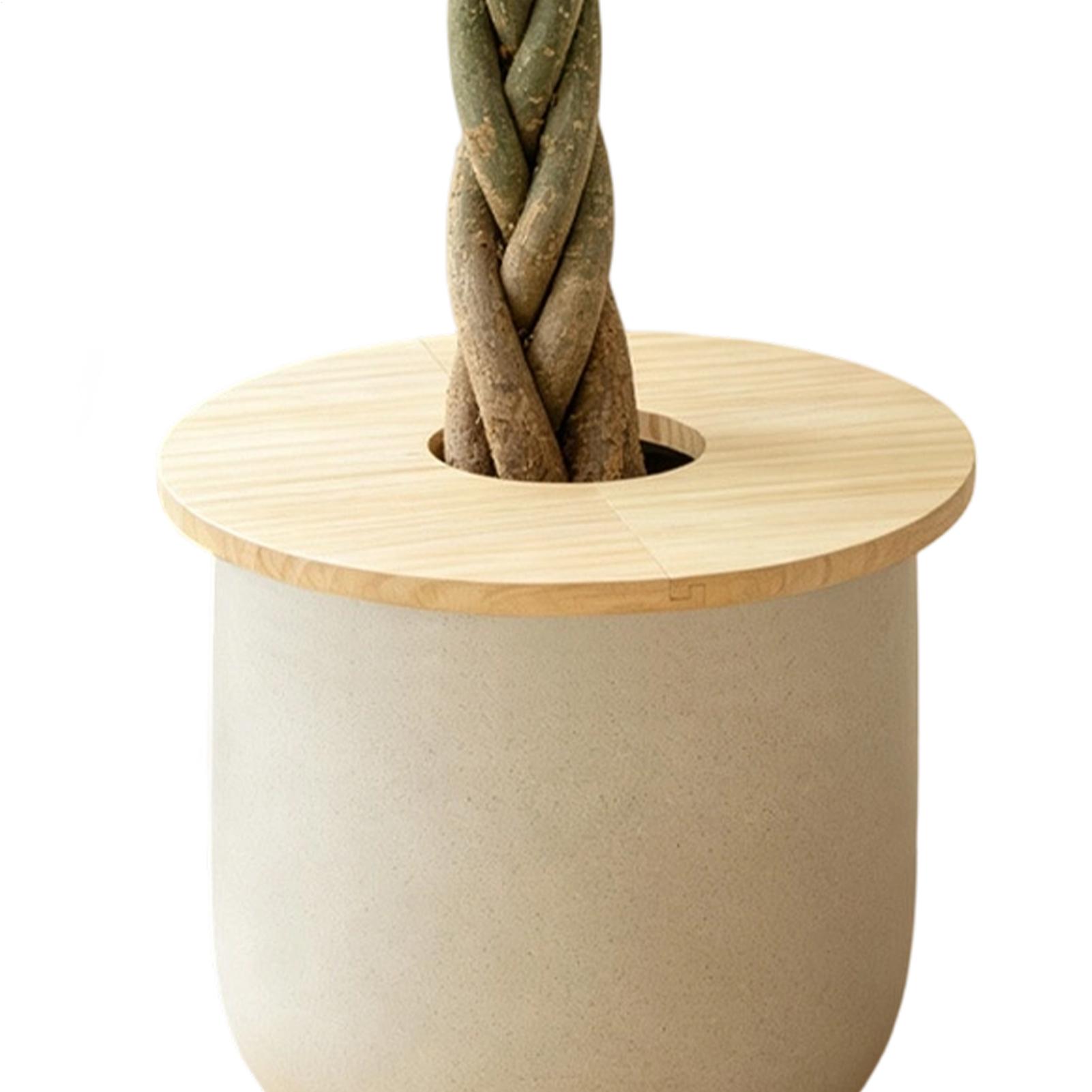 植木鉢カバー 木製分割プランターグリッドプロテクター 植木鉢 - Indoor Herb Garden のレビューと価格