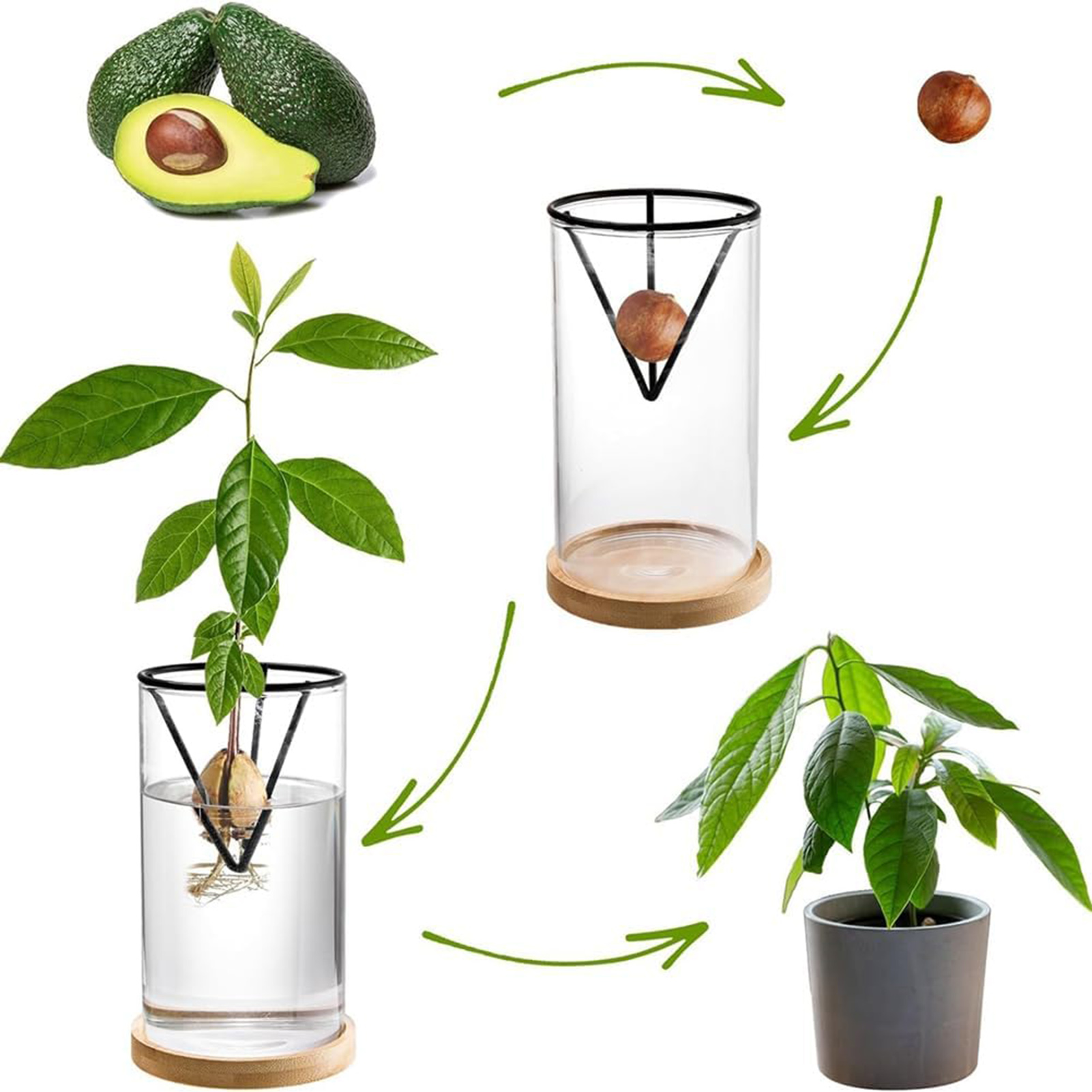 1 セットアボカドの木成長キット水耕ガラスアボカド種子花瓶三 - Hydroponic Kit のレビューと価格