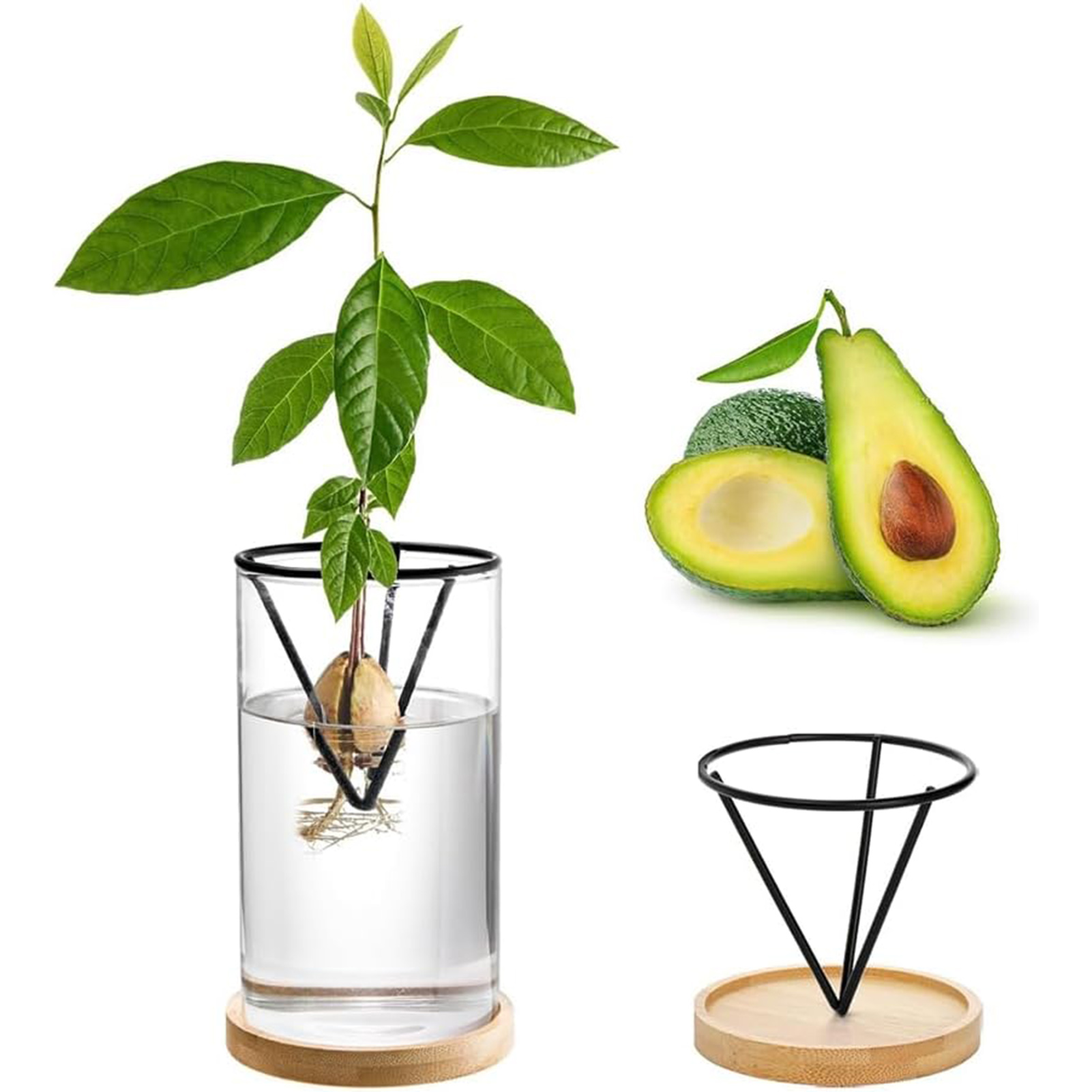 1 セットアボカドの木成長キット水耕ガラスアボカド種子花瓶三 - Hydroponic Kit のレビューと価格