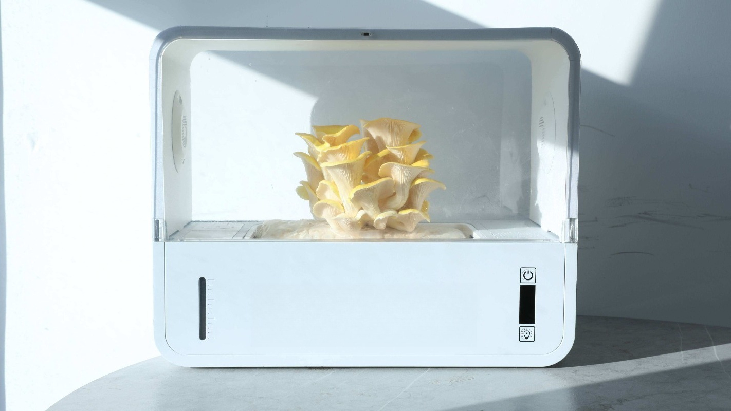 ハイドロブルー デスクトップきのこ栽培キット 水耕栽培 自動 - Hydroponic Kit のレビューと価格