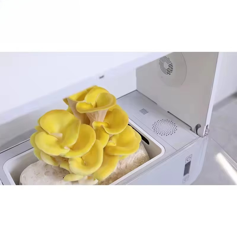 ハイドロブルー デスクトップきのこ栽培キット 水耕栽培 自動 - Hydroponic Kit のレビューと価格