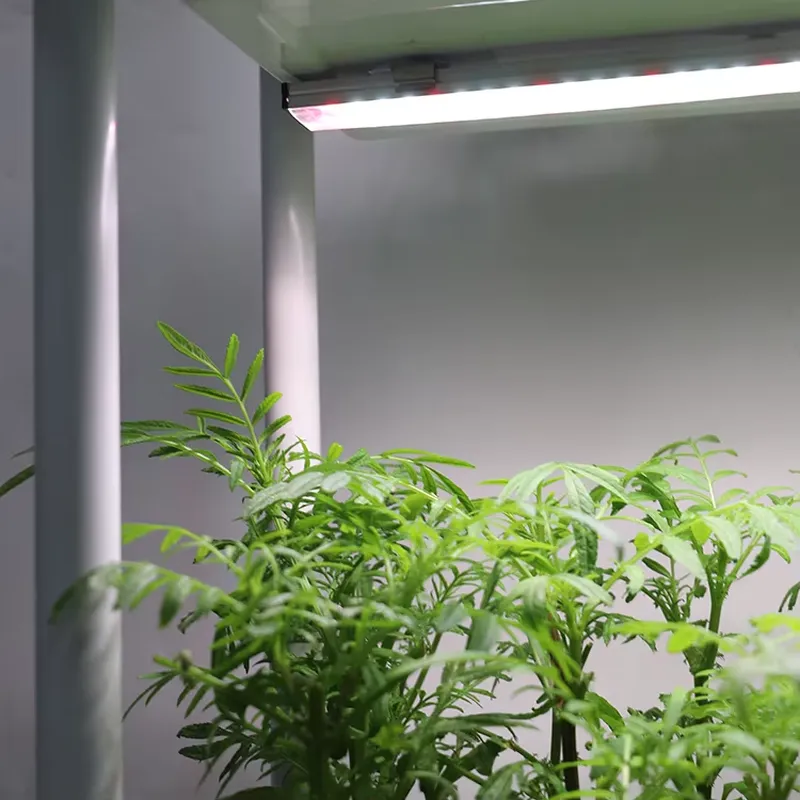移動式垂直型3段自動給水スマートガーデンプランターボックスス - Indoor Herb Garden のレビューと価格