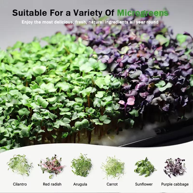 マイクログリーン自動給水水耕栽培プランター育成システム（育成 - Self Watering Planter のレビューと価格