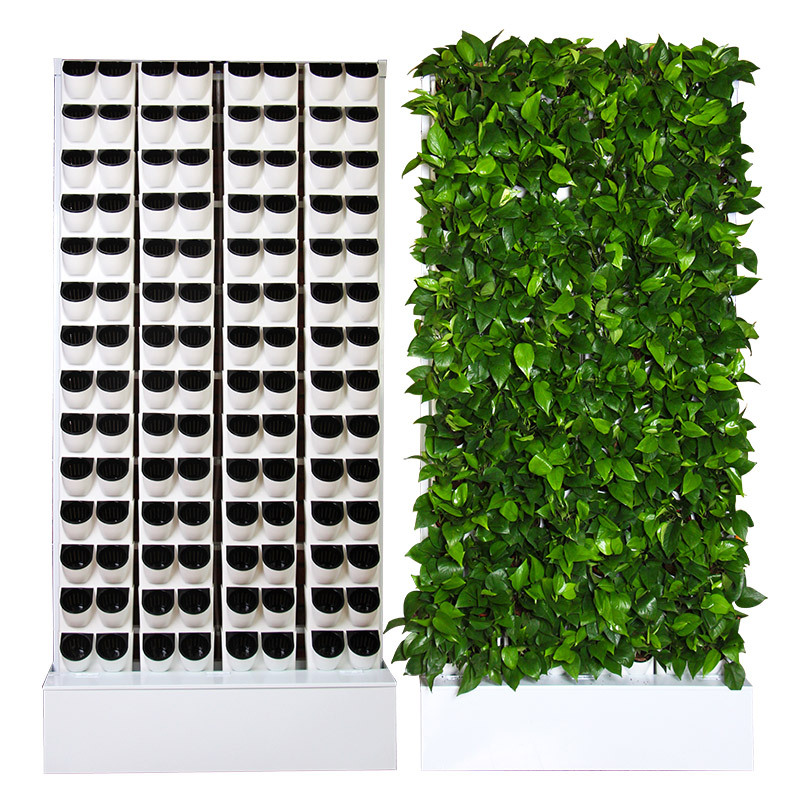 水耕栽培室内キット 2平方メートル 壁掛け式水耕栽培システム - Hydroponic Kit のレビューと価格