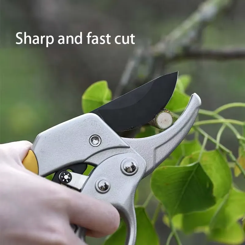 EE1 ホットセールス高炭素鋼SK5ブレード ラチェット式剪 - Pruning Shears のレビューと価格