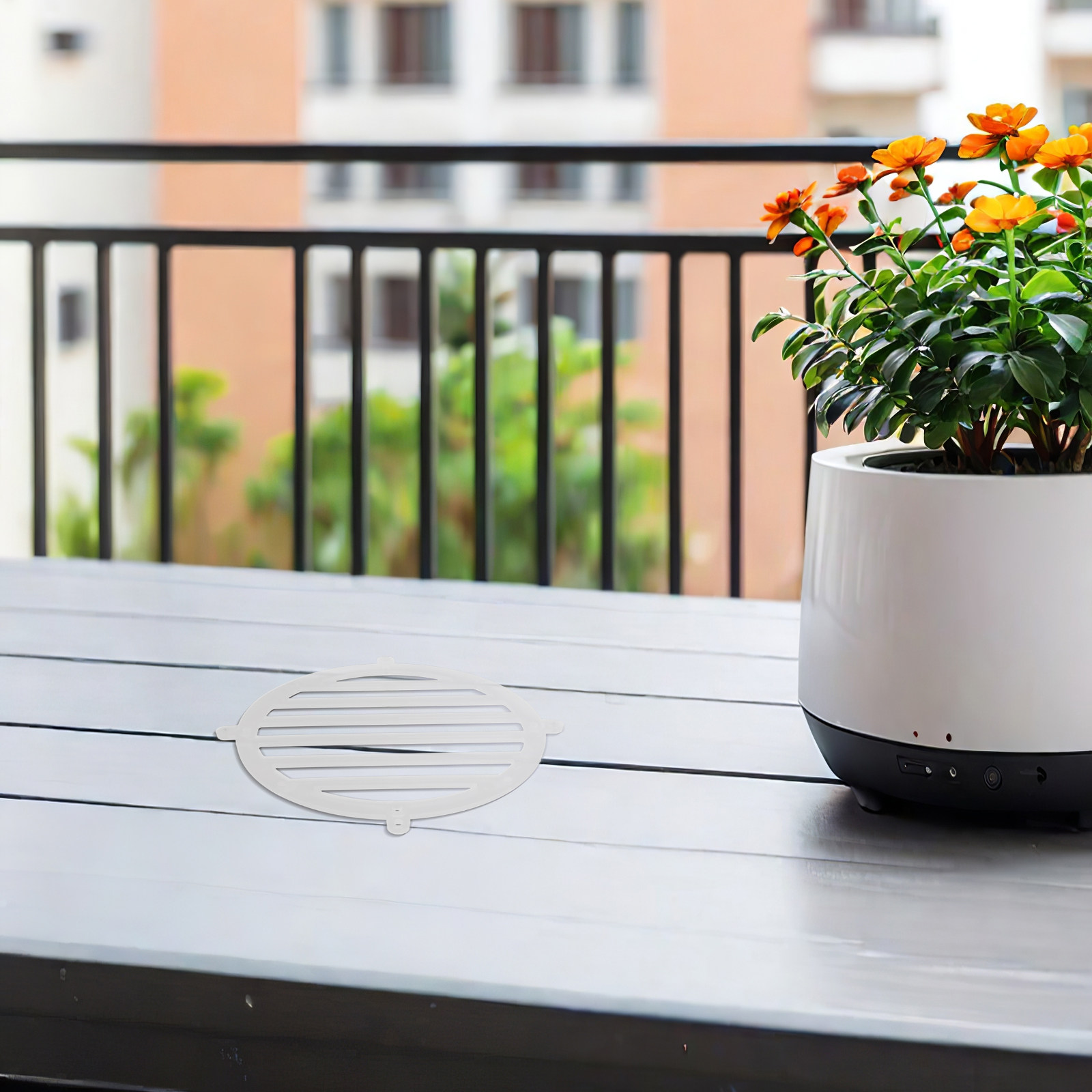 2個入り、15cmの観葉植物用ハンギングボード。室内の空気清 - Vertical Planter のレビューと価格