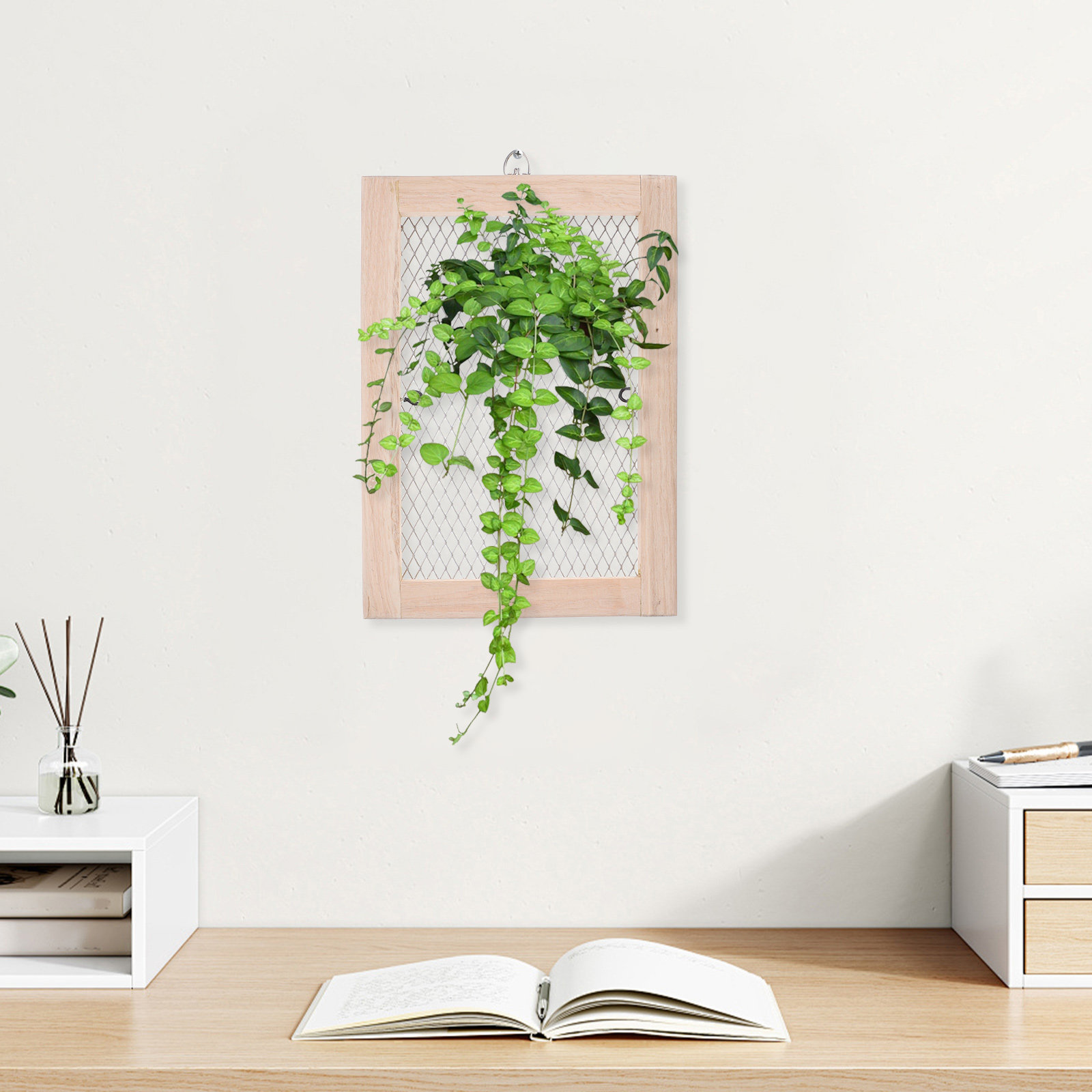 鹿角シダ用の壁掛けボード – 空気植物や観葉植物を飾るための - Vertical Planter のレビューと価格