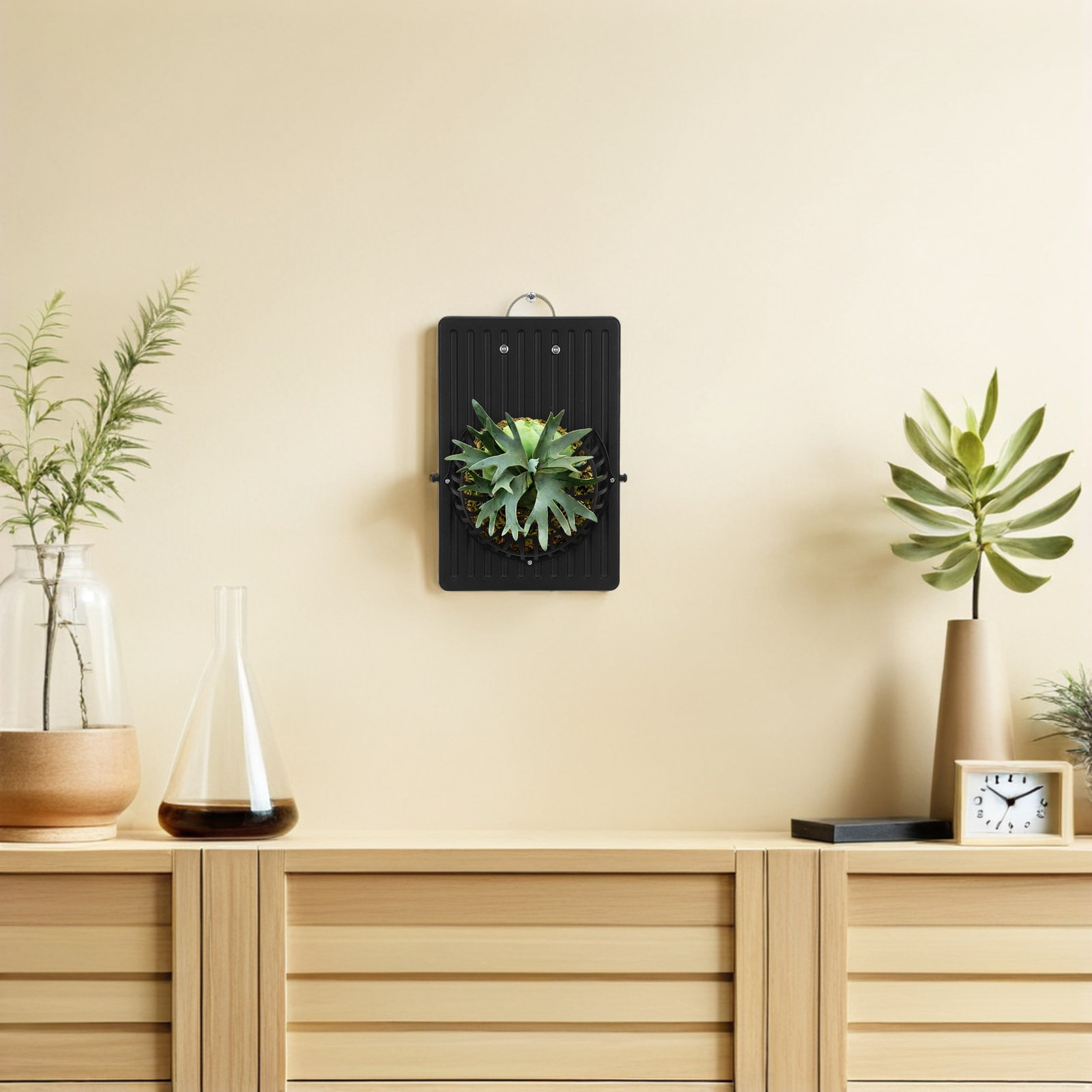 観葉植物やランを飾るためのプラスチック製壁面プランター用取り - Vertical Planter のレビューと価格
