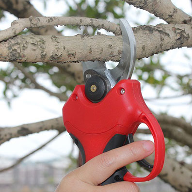 25-40mm切断果樹園・ブドウ園・庭作業用コードレス剪定ば - Pruning Shears のレビューと価格
