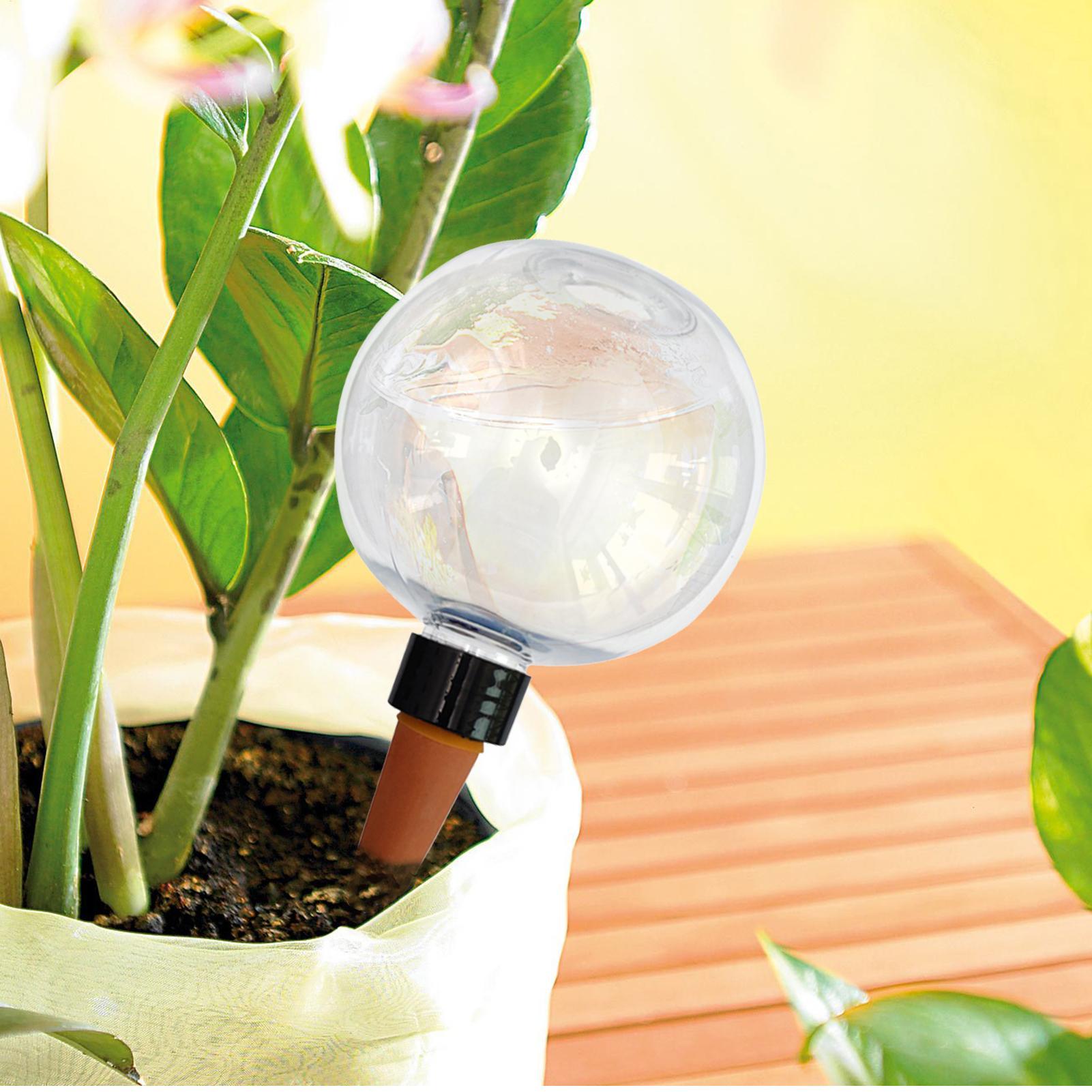 500ml自動植物散水球ガラス球プランターインサート簡単自動 - Self Watering Planter のレビューと価格