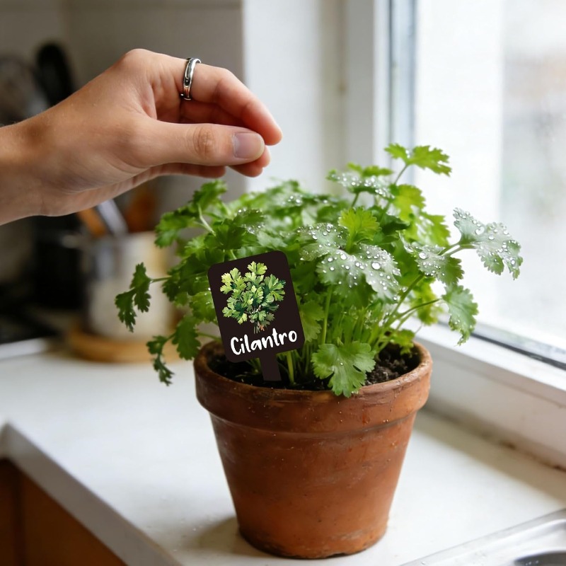 24個入り植物ラベルセット、名前付きハーブガーデンマーカー、 - Indoor Herb Garden のレビューと価格